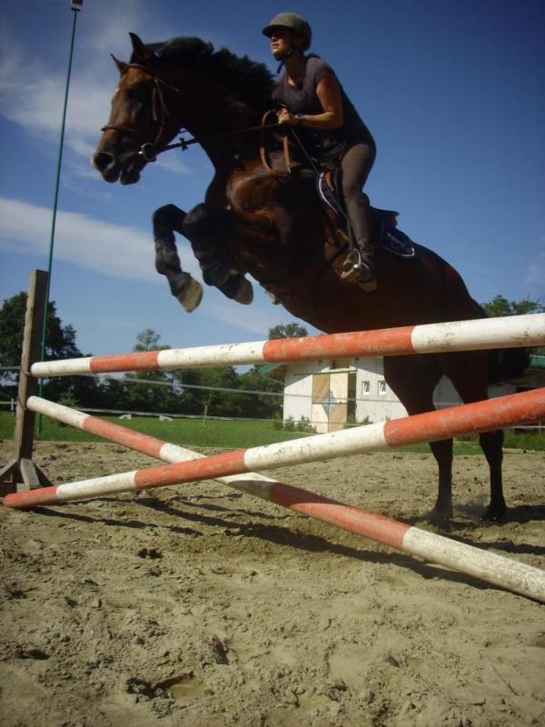 Rezultati jahača Koprivničkog konjičkog kluba Galop team u 2012.