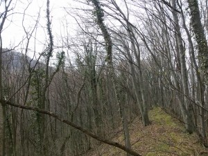 Ana Plantak i Marijan Lonjak najbolji na Minitrekingu Čevo
